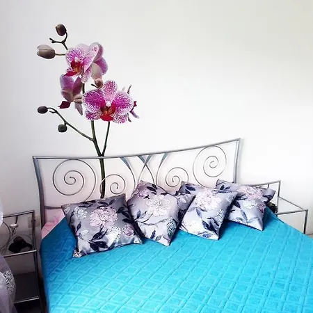 Livaja Apartament