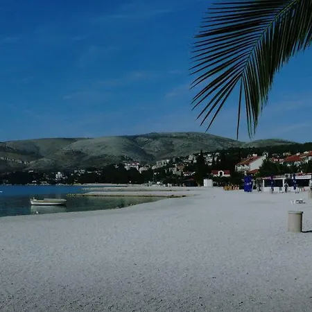 Livaja *