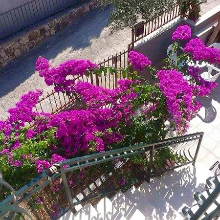 Livaja Διαμέρισμα